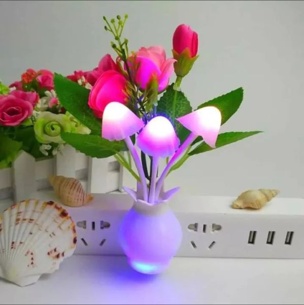 Multicolor Flower Mushroom Dim Light